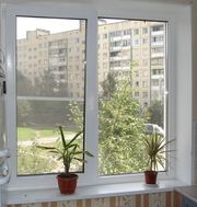 Окна REHAU,  WINBAU,  WDS,  WINTECH